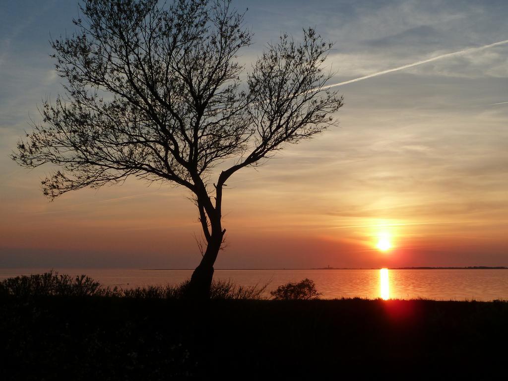 Haus Achtern Diek In Erster Reihe Am Meer Fehmarn Luaran gambar
