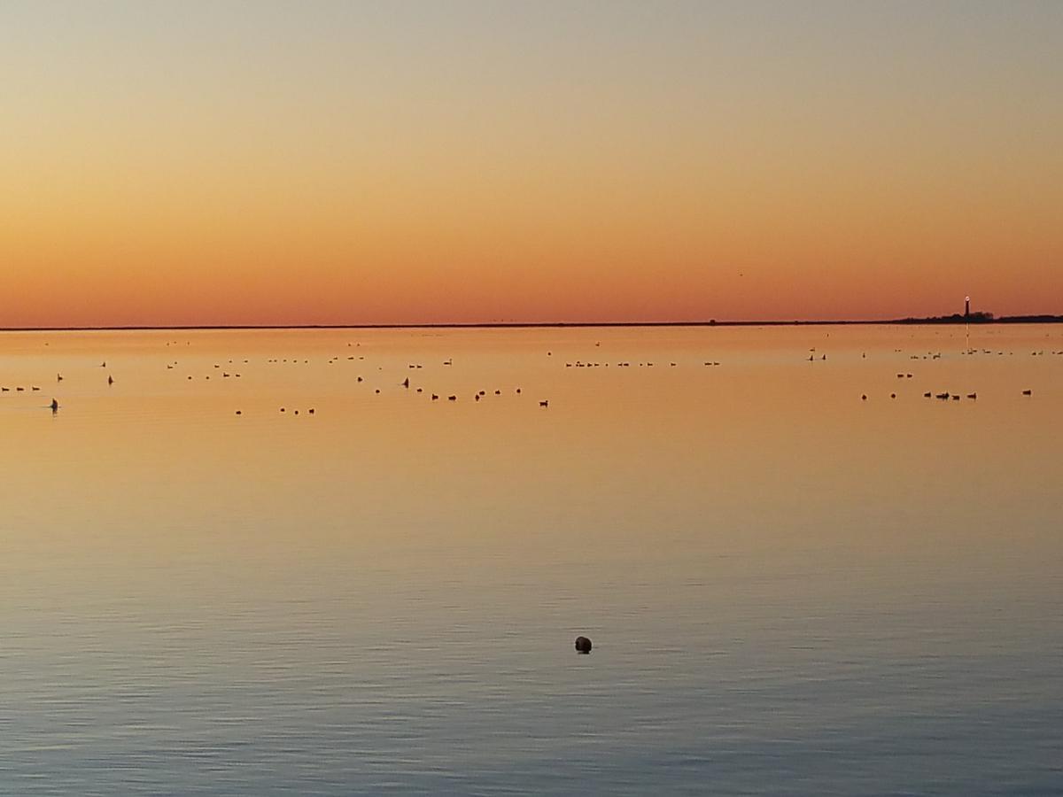 Haus Achtern Diek In Erster Reihe Am Meer Fehmarn Luaran gambar